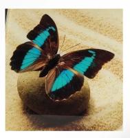 photo_2025-04-16_17-57-09