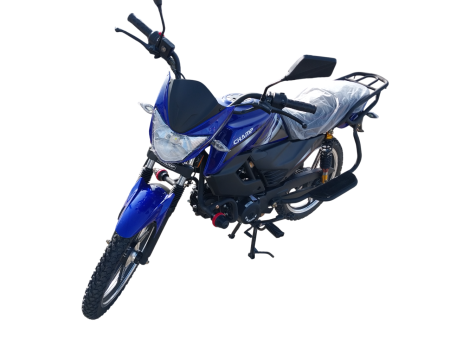 20250201_120202-Photoroom