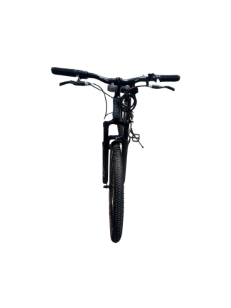 21fddefb-1aff-4472-ba9d-206bba321c51-Photoroom