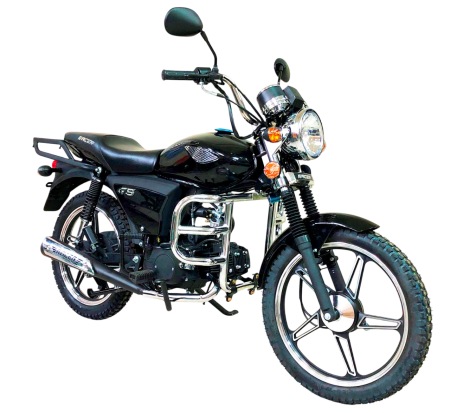 WhatsApp Image 2025-02-01 at 13.09.15-Photoroom