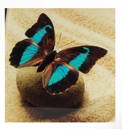 photo_2025-04-16_17-57-09