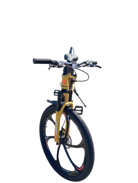 4bc006ce-f299-4356-b0bf-b44ab68dd2ae-Photoroom