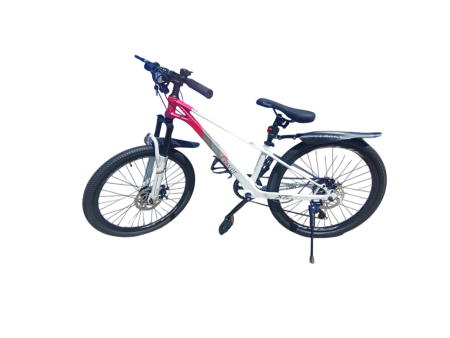 3aef69d3-7433-468b-83d2-9a36a6c633b4-Photoroom