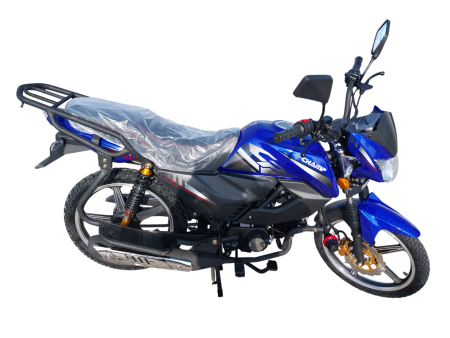 20250201_120124-Photoroom